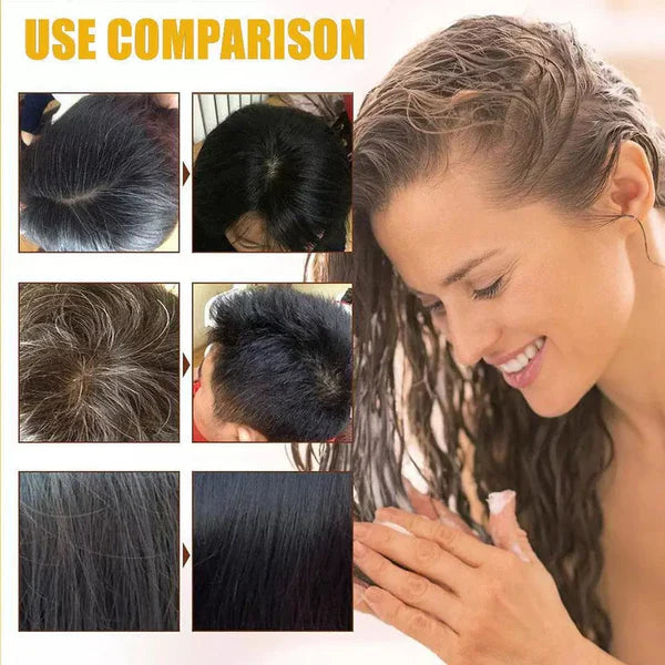 [ETONIA] Japanese Long Lasting Natural Hair Dye Shampoo